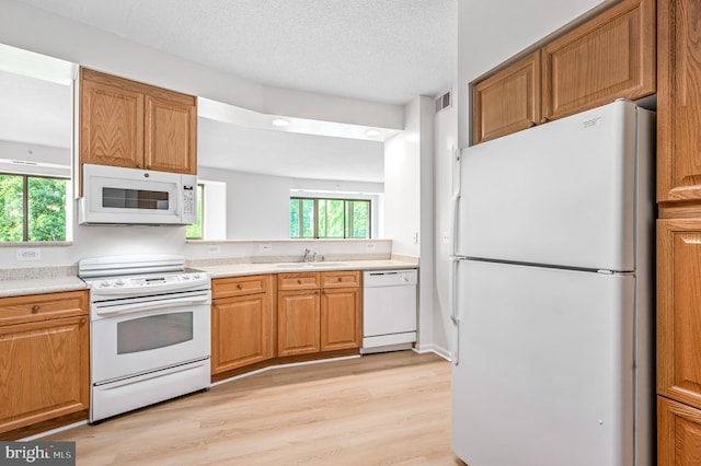 kitchen with light hardwood / wood-style flooring, a wealth of natural light, and white appliances