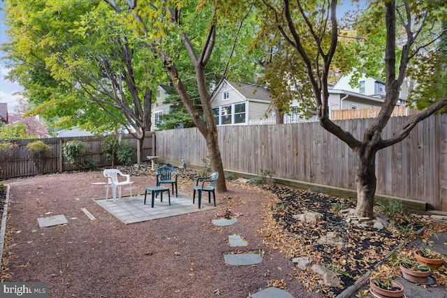 view of yard featuring a patio