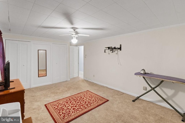 interior space featuring ceiling fan, crown molding, and carpet