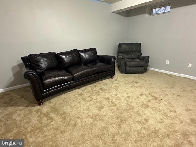 living room featuring carpet flooring