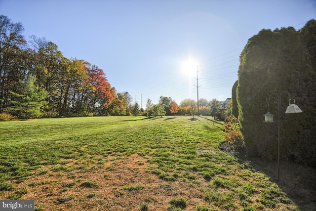 view of yard