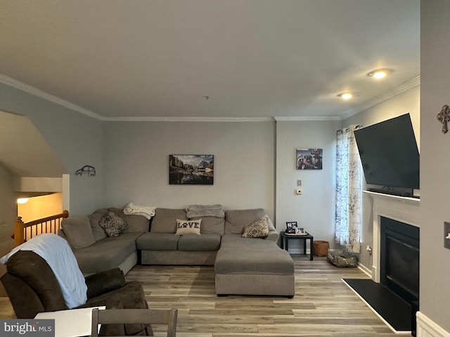 living room featuring ornamental molding and light wood-type flooring