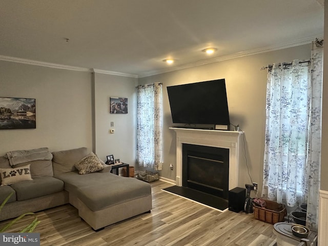 living room with light hardwood / wood-style flooring and crown molding