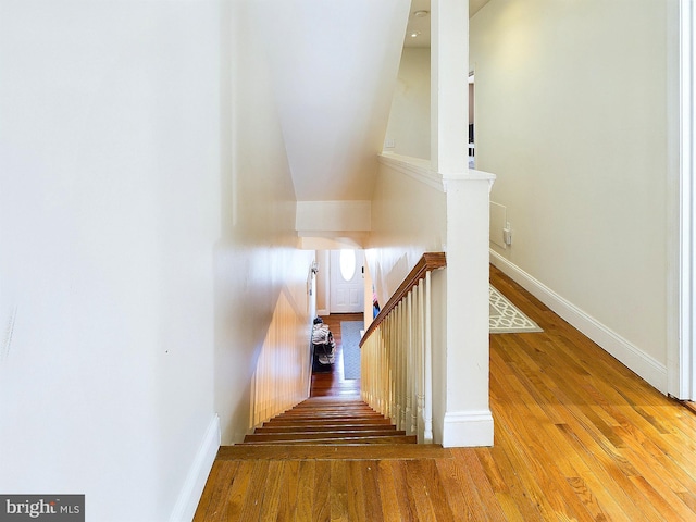 stairs with hardwood / wood-style flooring