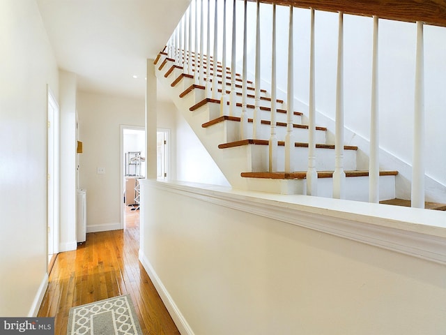 staircase featuring wood-type flooring