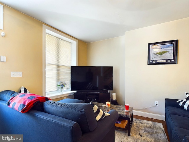 living room with hardwood / wood-style floors