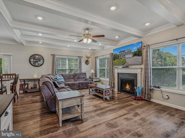 living room featuring wood-type flooring, beamed ceiling, a healthy amount of sunlight, and crown molding