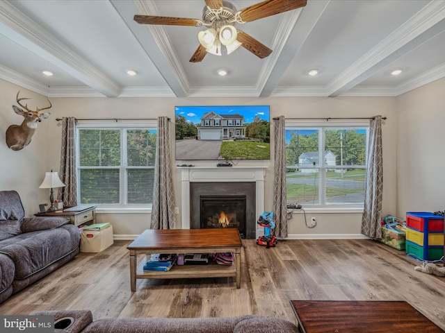 living room featuring beam ceiling, plenty of natural light, hardwood / wood-style floors, and crown molding