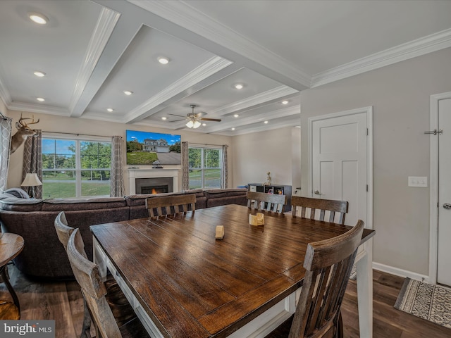 dining space featuring ceiling fan, beamed ceiling, dark hardwood / wood-style floors, and crown molding