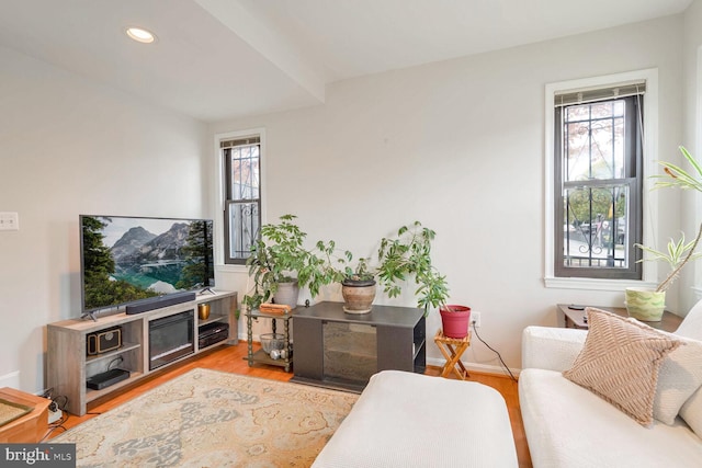 living room with hardwood / wood-style floors and plenty of natural light