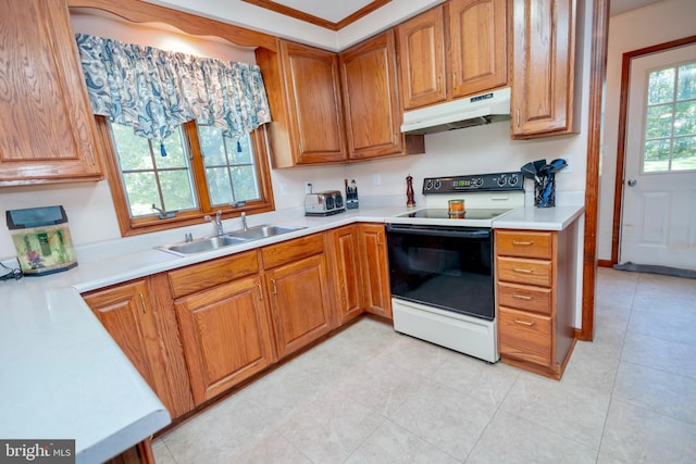 kitchen featuring ornamental molding, white electric range oven, and sink