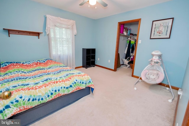 carpeted bedroom with ceiling fan, a closet, and a walk in closet