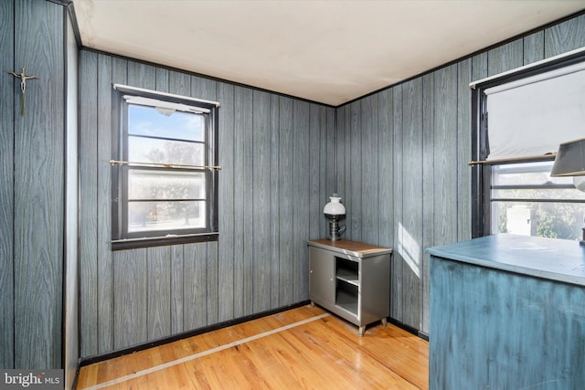 interior space featuring wood walls and light wood-type flooring