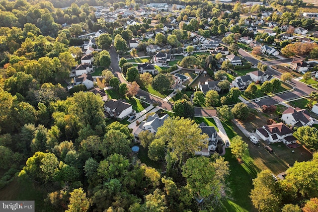 bird's eye view