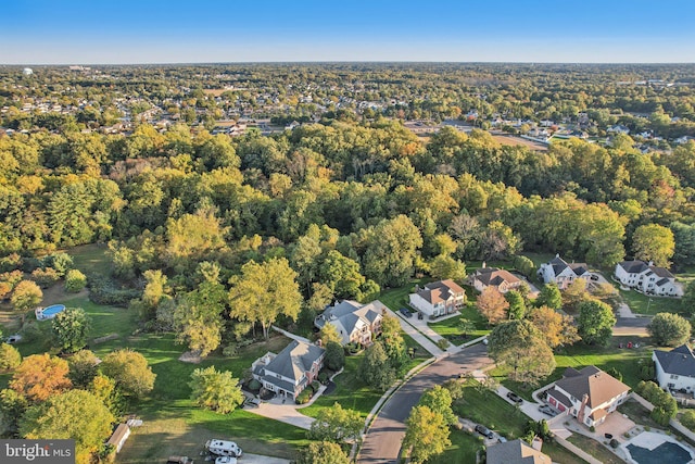 bird's eye view