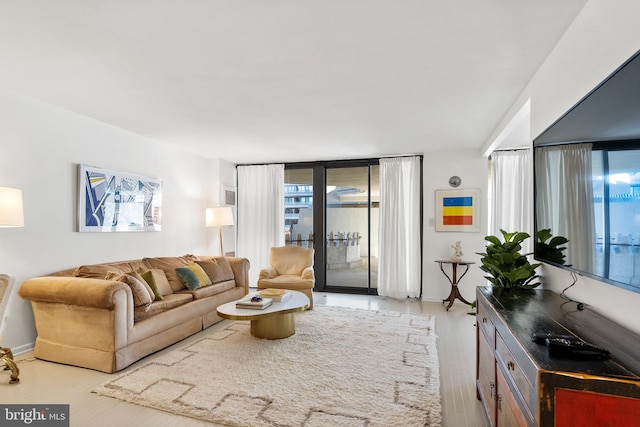 living room with light hardwood / wood-style floors