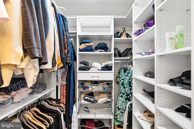 view of walk in closet