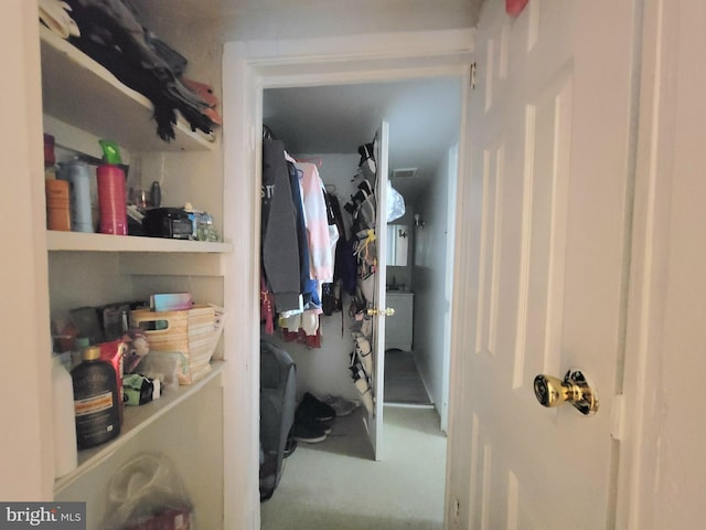 spacious closet with carpet