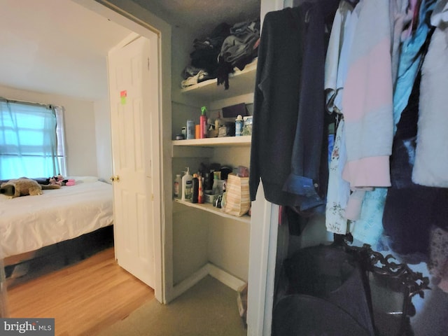 spacious closet featuring hardwood / wood-style floors