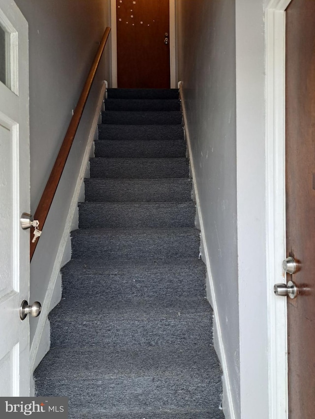 staircase with carpet floors