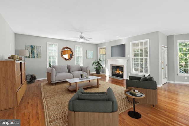 living room featuring wood-type flooring, a wealth of natural light, and ceiling fan