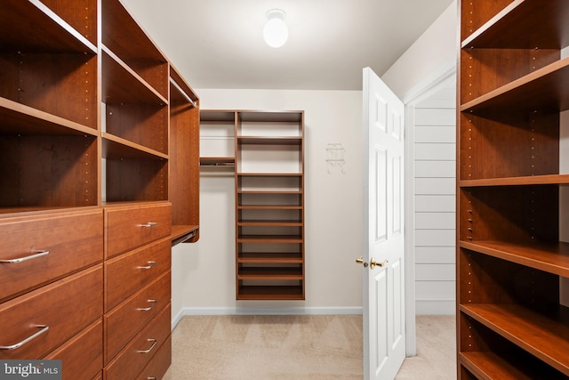 walk in closet with light colored carpet