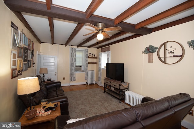 living room with ceiling fan, radiator, beam ceiling, and wood-type flooring