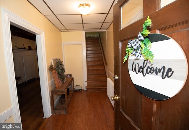 entryway featuring wood-type flooring and a drop ceiling