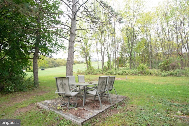 view of yard with a patio