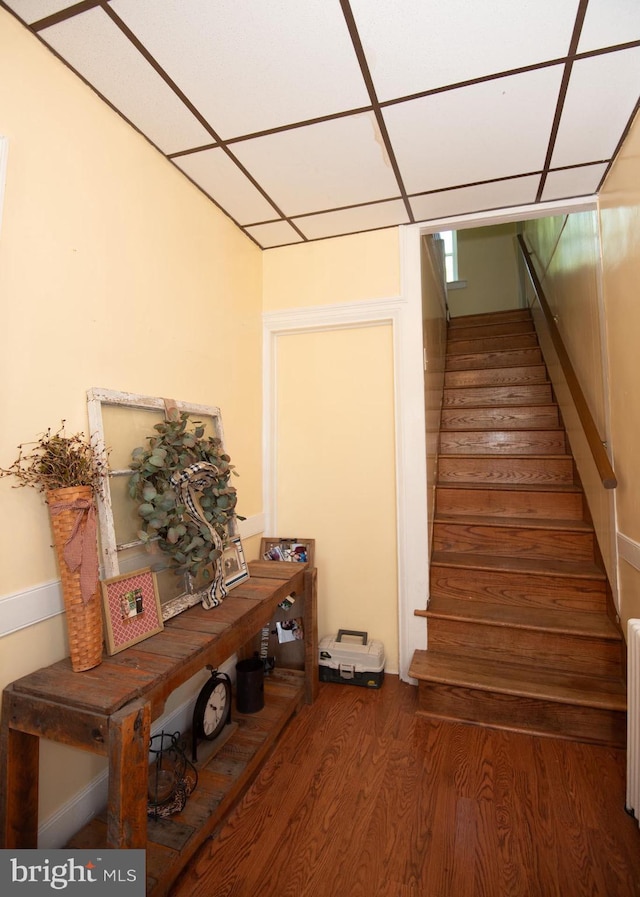 staircase featuring a paneled ceiling, radiator heating unit, and hardwood / wood-style flooring