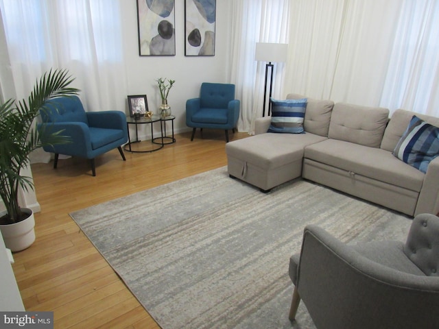 living room featuring hardwood / wood-style flooring