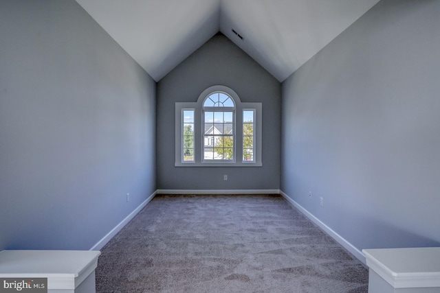 unfurnished room with lofted ceiling and carpet flooring