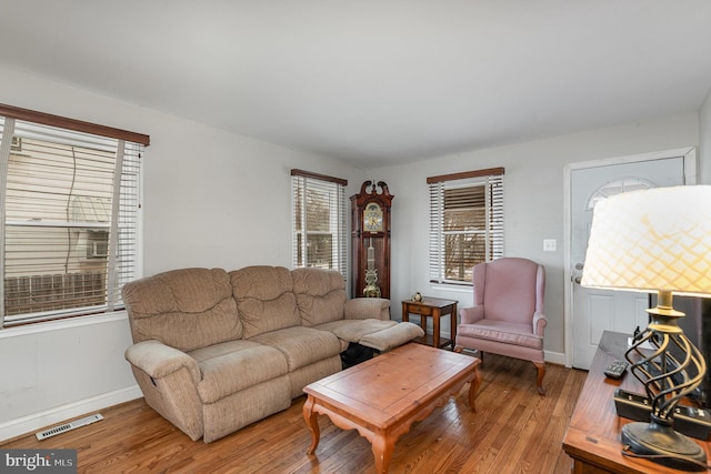 living room featuring hardwood / wood-style floors