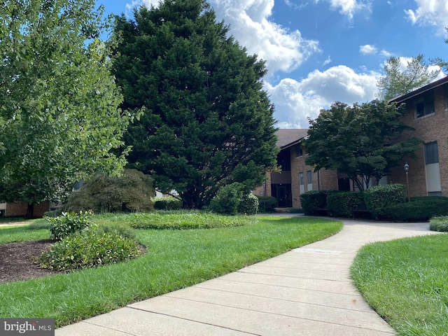 view of home's community with a lawn