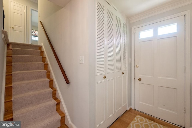 foyer entrance featuring crown molding and wood-type flooring