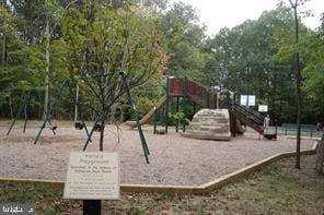 view of jungle gym