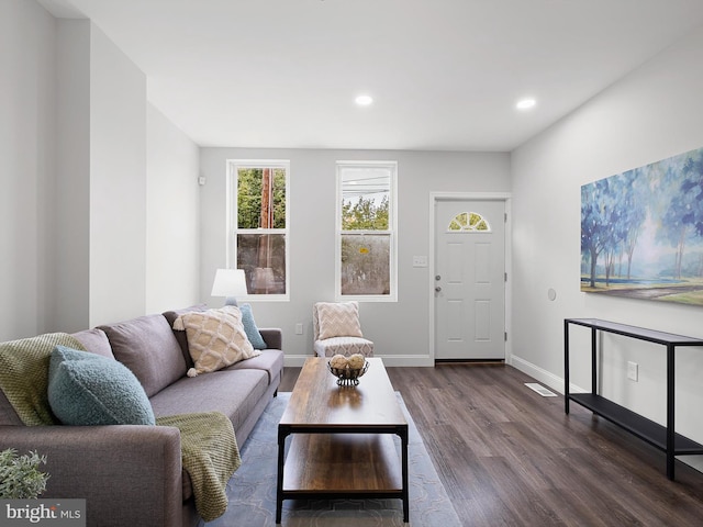 living room with dark hardwood / wood-style floors