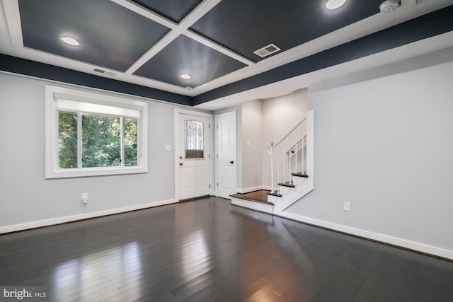 foyer entrance featuring dark wood-type flooring