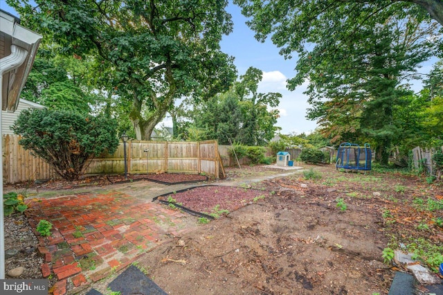 view of yard with a patio area