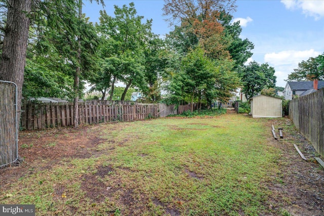 view of yard featuring a storage unit