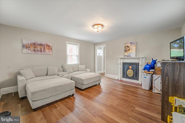 living room with wood-type flooring