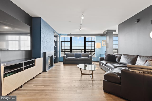 living room featuring light wood-type flooring and rail lighting