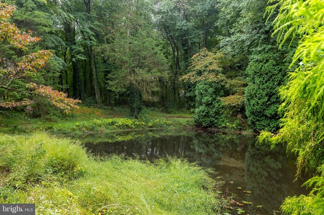 view of local wilderness featuring a water view