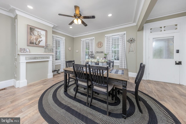 dining room with ceiling fan, light hardwood / wood-style flooring, crown molding, and a fireplace