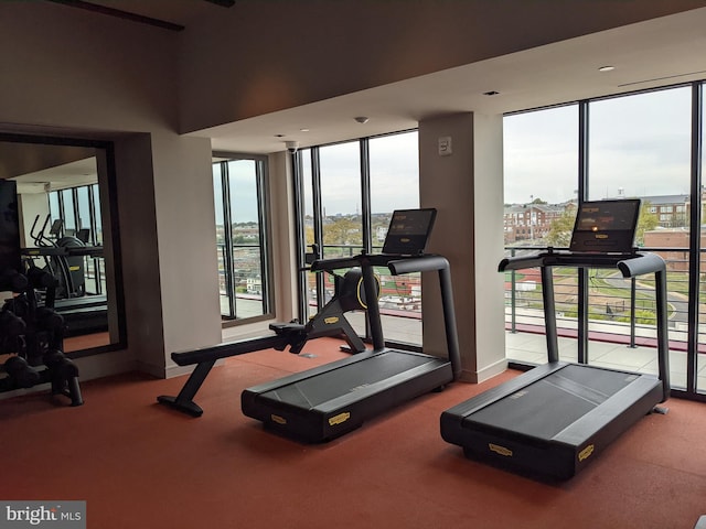 exercise room featuring carpet floors and expansive windows