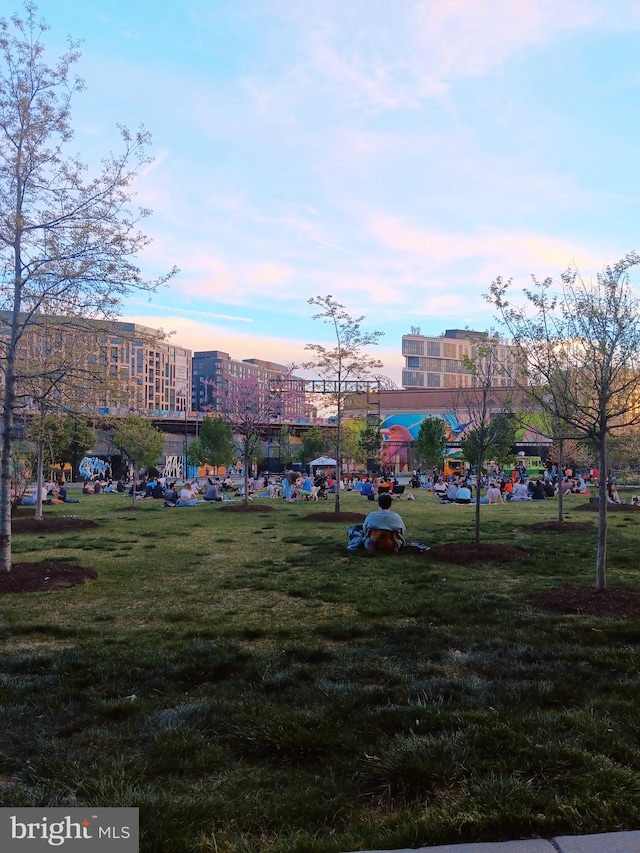 view of community with a yard