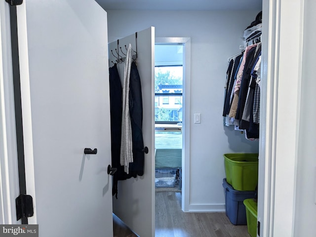 spacious closet with hardwood / wood-style floors