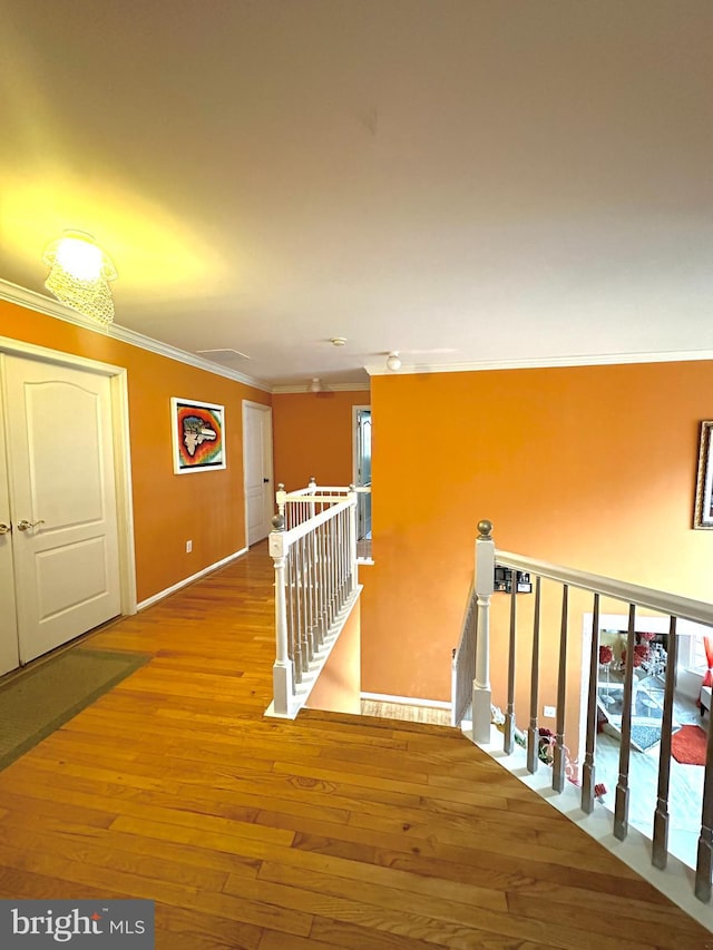 corridor featuring hardwood / wood-style floors and crown molding