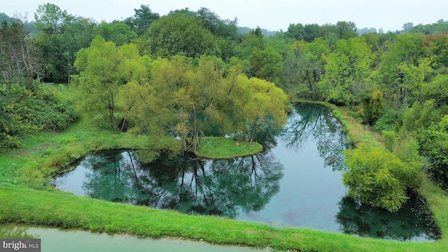 drone / aerial view with a water view