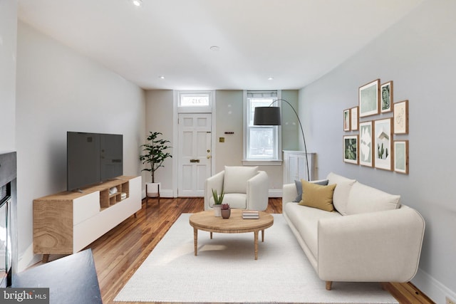 living room featuring hardwood / wood-style flooring